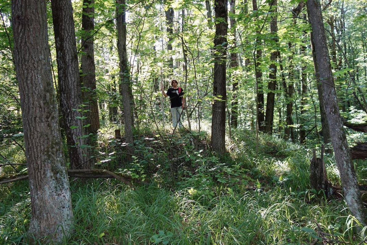 kulpole.ru📷Место раскопок