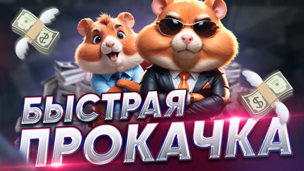 Рефералы для hamster combat