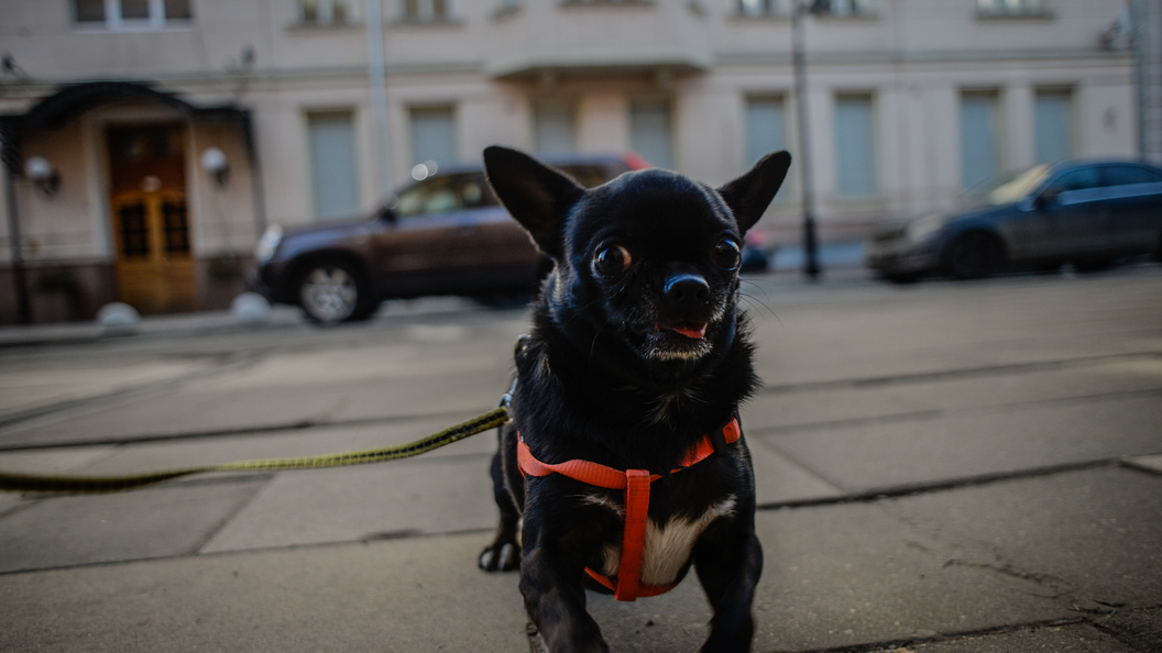    Фото: Komsomolskaya Pravda/Globallookpress.