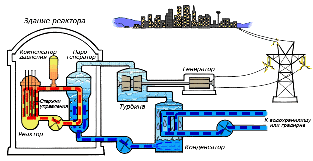 Рисунок 1. Крайне упрощённая схема работы атомной электростанции на двухконтурном водо-водяном энергетическом реакторе (ВВЭР).