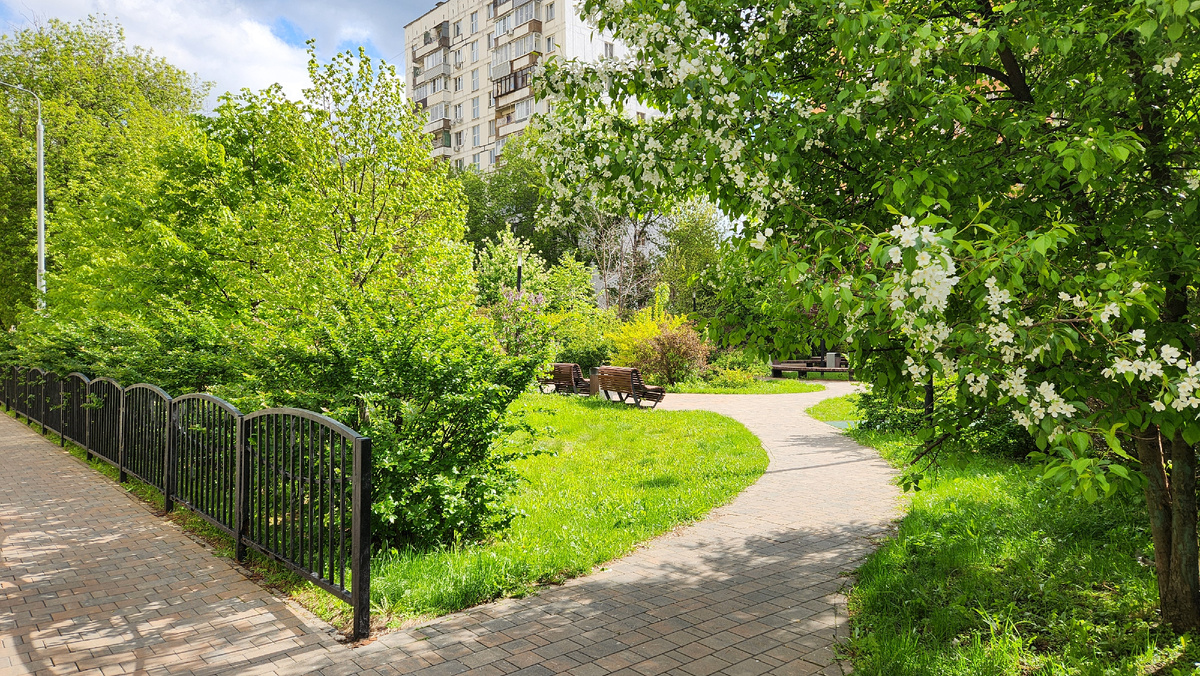 Зеленые дворы на Ковров переулке