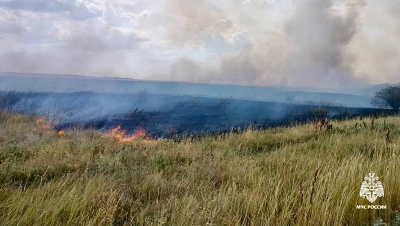      Фото: МЧС по СК