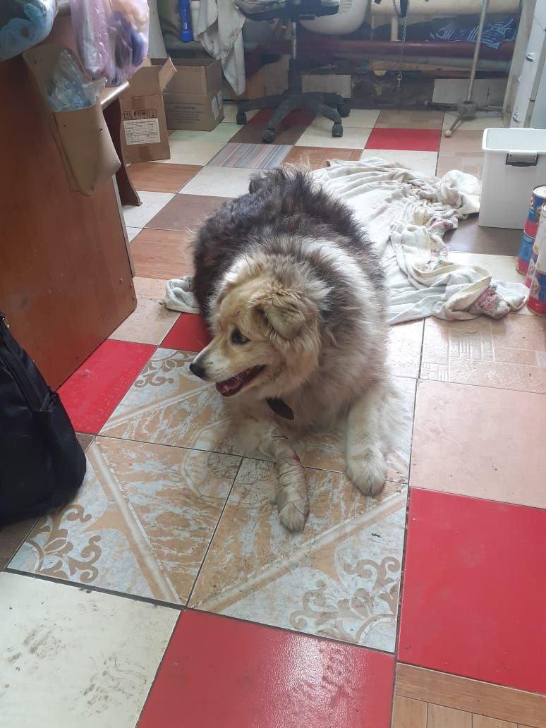 Юленька при поступлении. Дышит тяжело