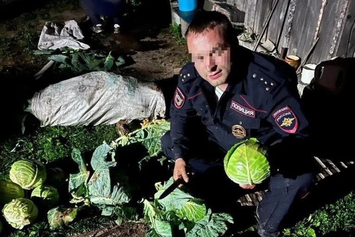    Тормозил машины, дрался.