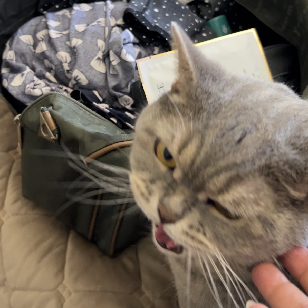 Марсель не одобрил наши слишком частые сборы 