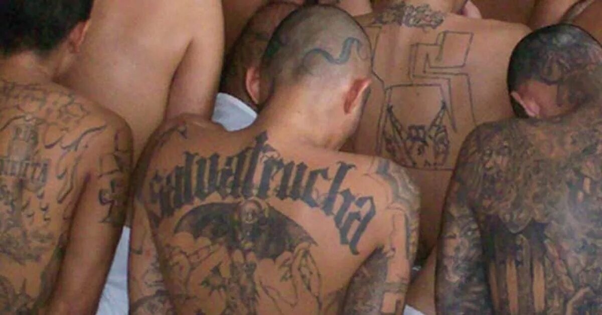 Mara Salvatrucha