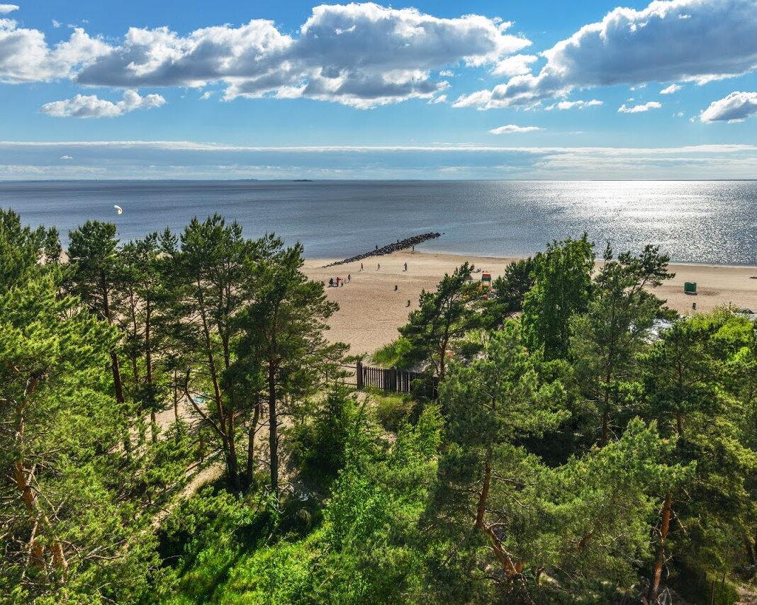 Источник: https://dzen.ru/a/XOV1Hixs8QCw7EUo 
В Курортном районе строят крайне редко и новые проекты здесь наперечет