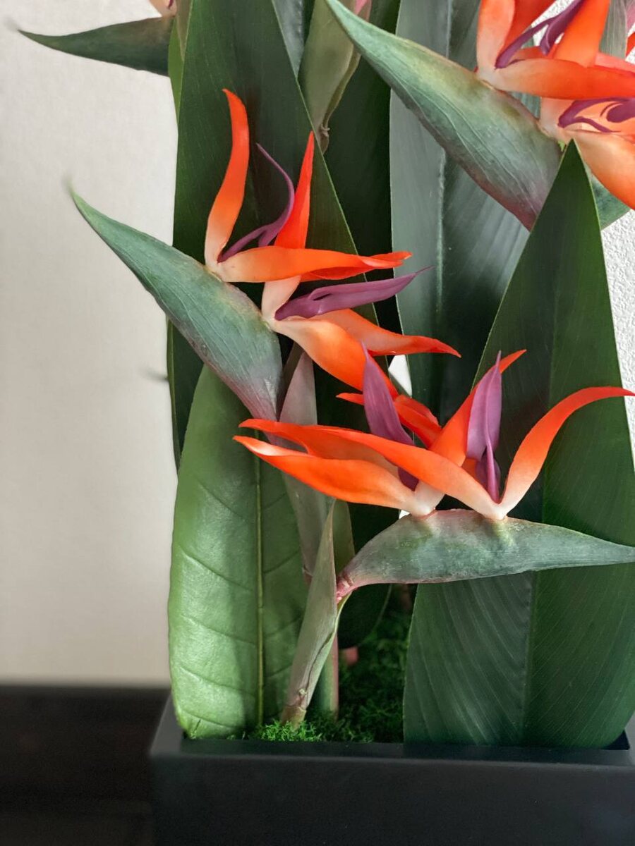 Интерьерная композиция Куб с искусственными стрелициями