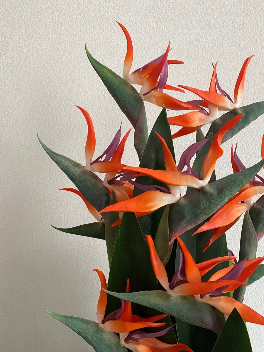 Интерьерная композиция Куб со стрелициями