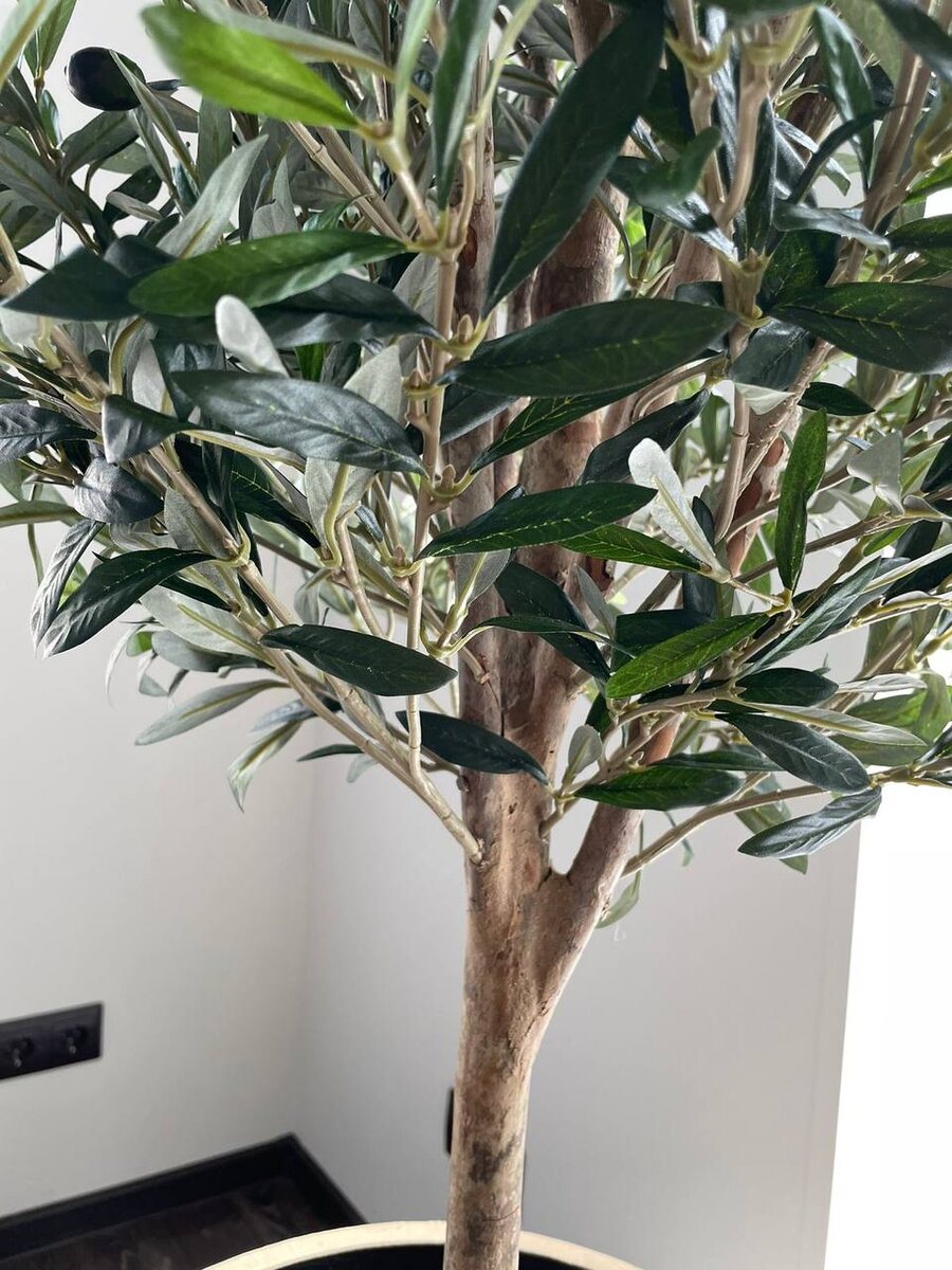 Искусственная олива