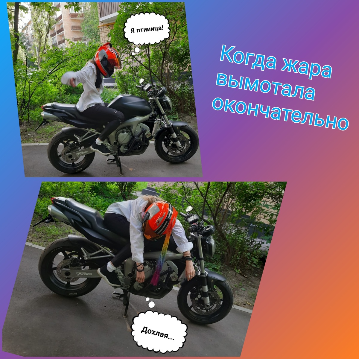 Решила, пусть будет смешная картинка для заставки