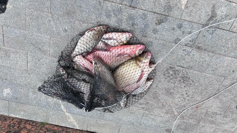 ИА SM-News Тюмень📷
