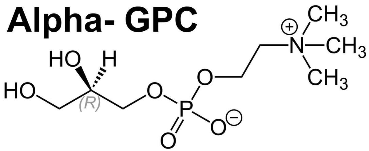 Купить ALPHA - GPC 1900р 