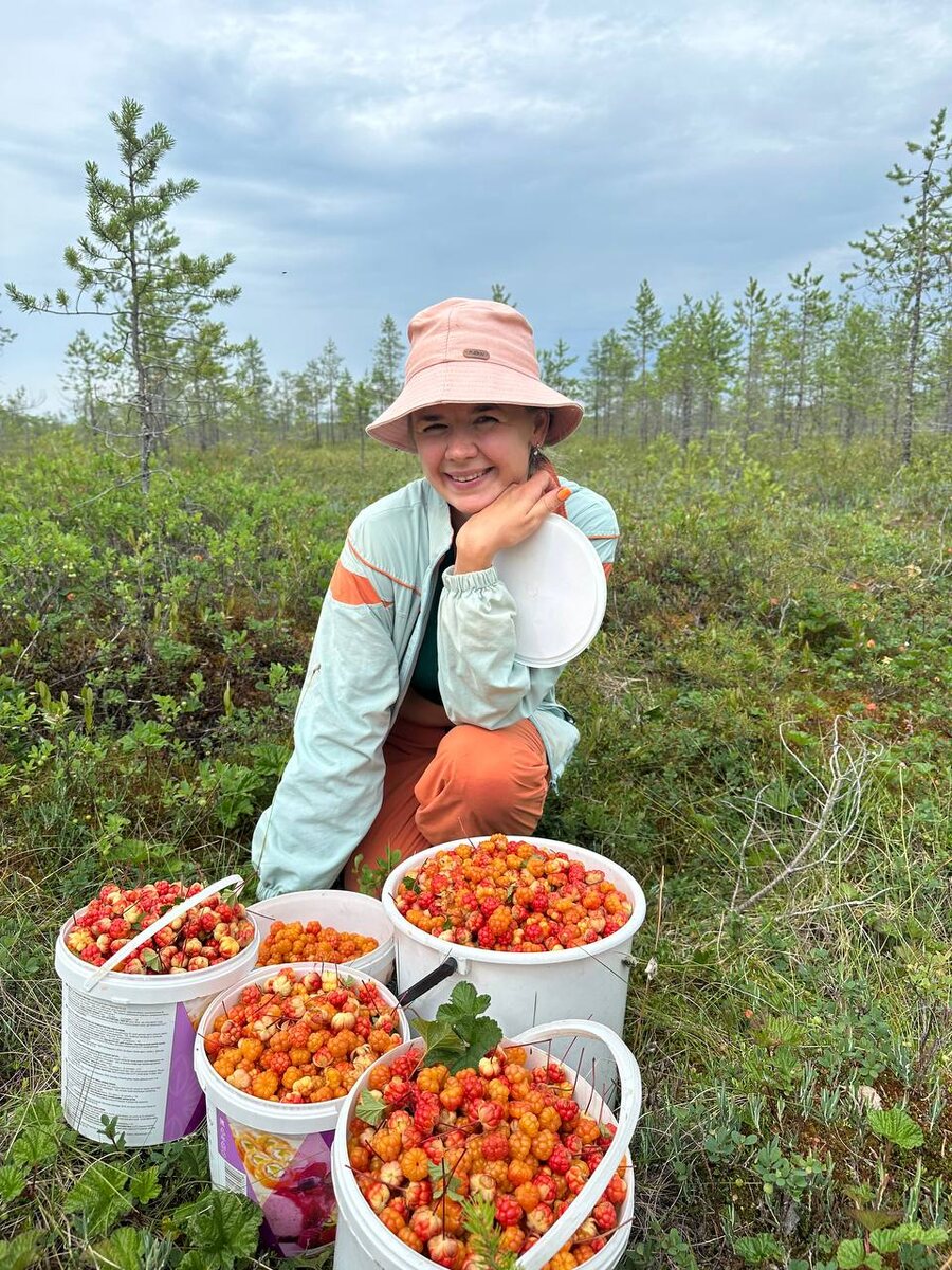Наша подписчица поделилась урожаем морошки.