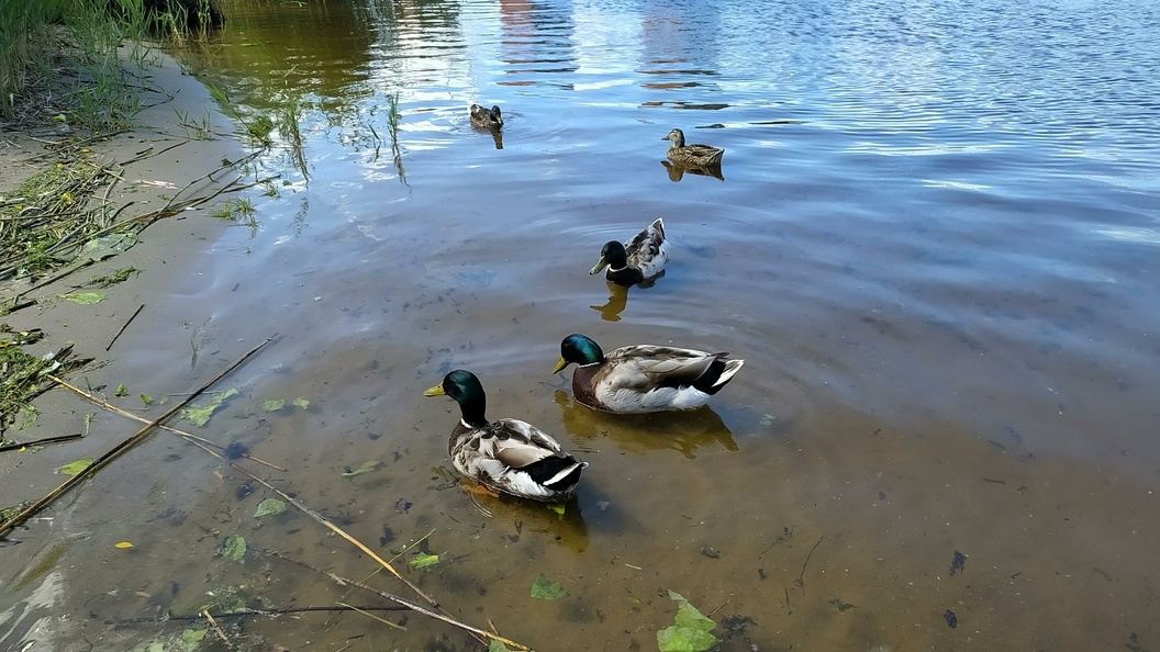    Victor Lisitsyn/Globallookpress