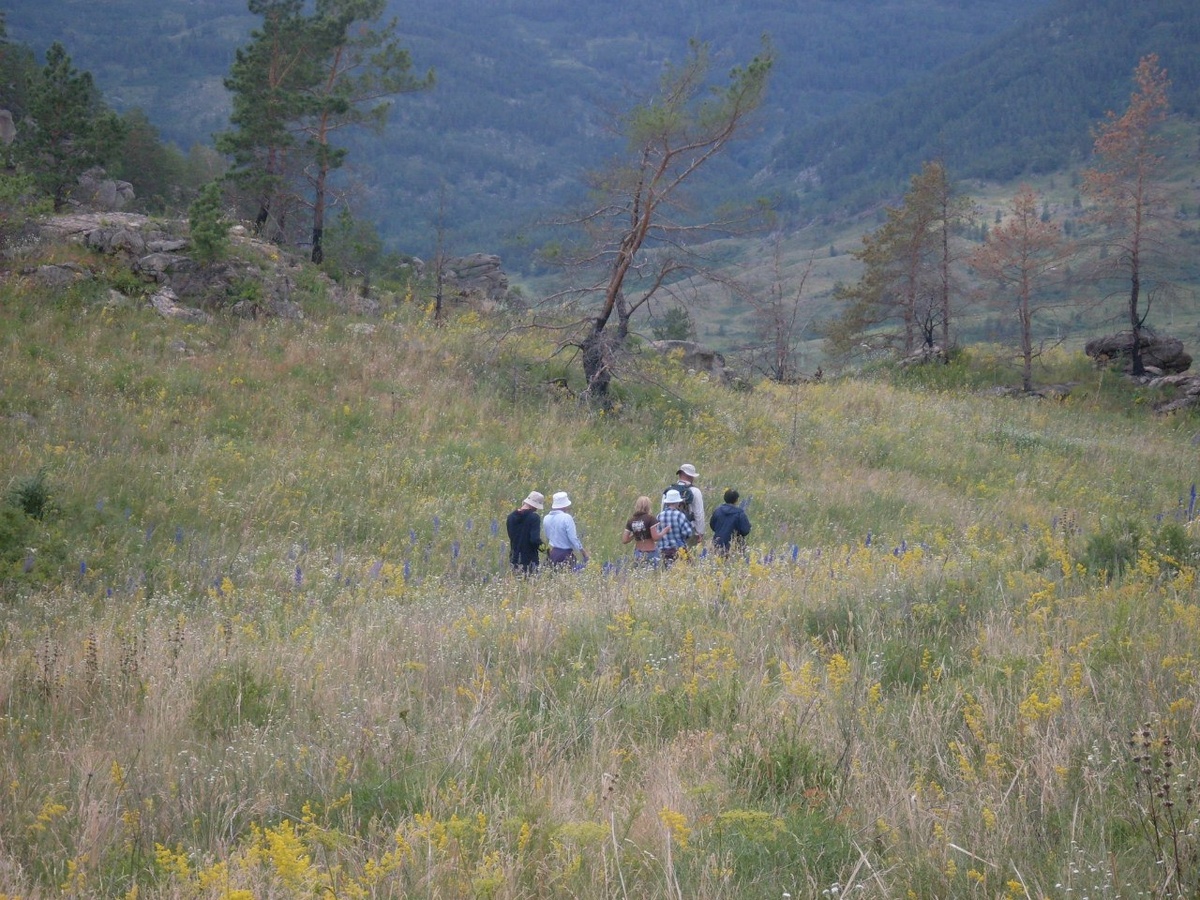 Несколько дней я пела-мурлыкала про себя песню Вадима Егорова 
