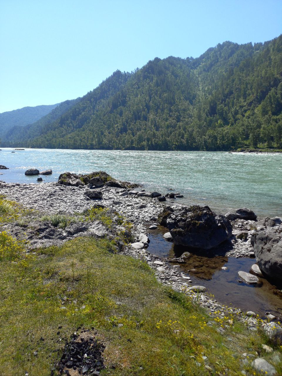 Река Катунь.