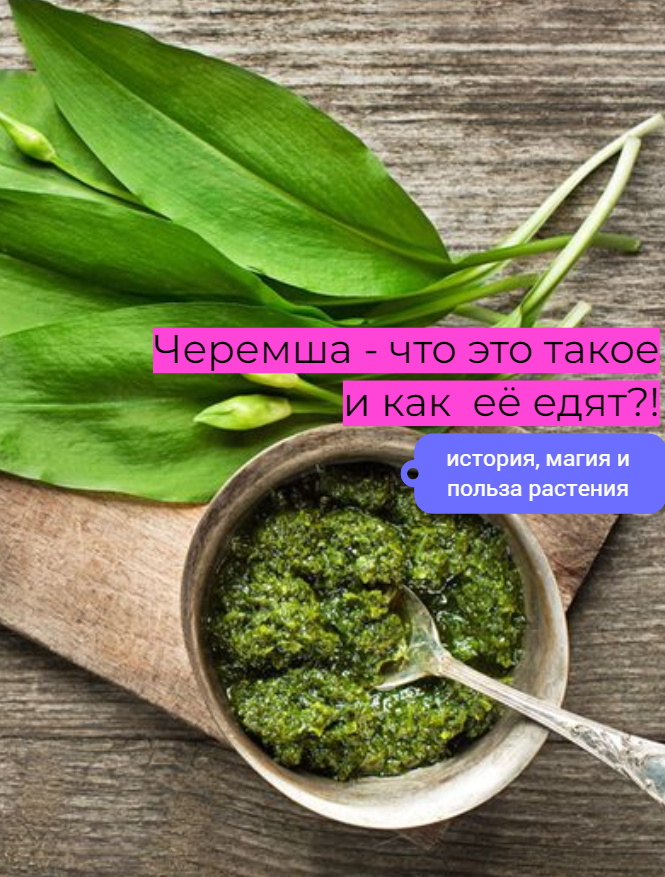 Соус песто из черемши - называют ещё грузинским, или кавказским соусом!  