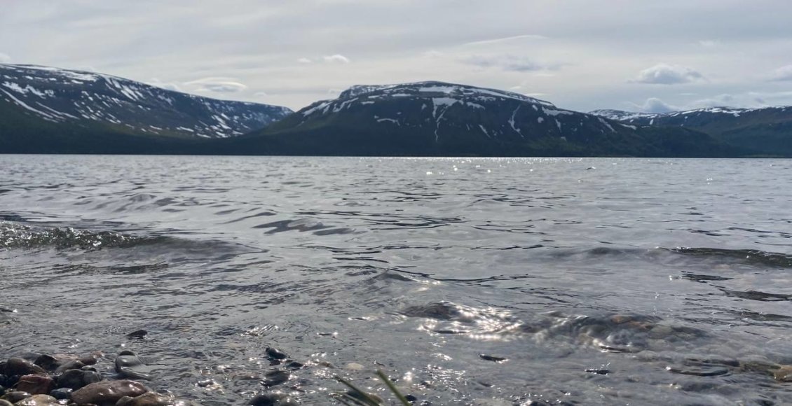    Фото: пресс-служба Минприроды Мурманской области