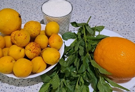 Если вам надоел классические варианты компотов, тогда приготовьте ароматный компот "Мохито" 

Апельсины 150 г
Лимон 100 г
Абрикосы 600 г
Сахар 200 г
Мята 15 г  1.Подготовить необходимые ингредиенты. 2.-2