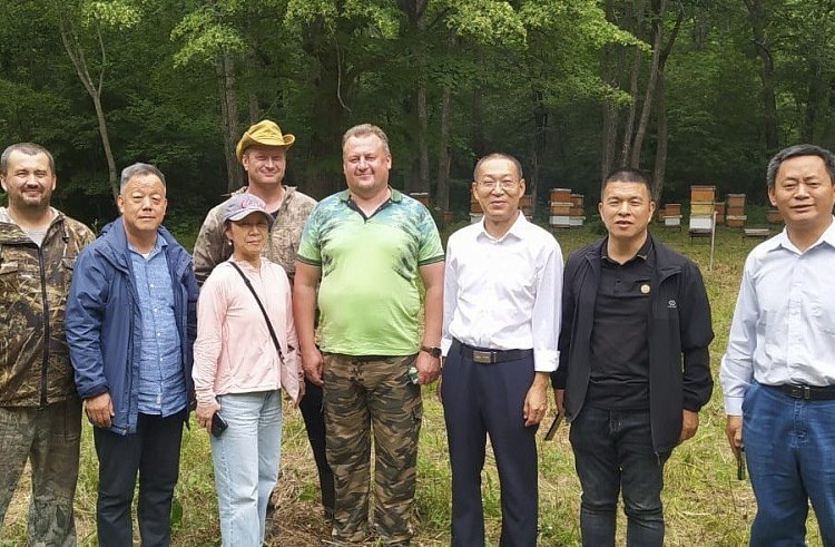    О совместных исследованиях в пчеловодстве договорились ученые из Китая с коллегам в Приморье