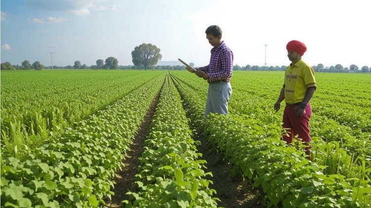    Представитель компании «ФосАгро» высказался о сотрудничестве с индийскими партнёрами