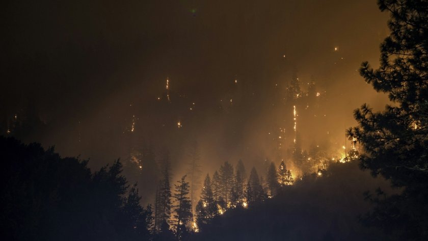 Лесные пожары с той или иной интенсивностью бушуют по всей планете. Полностью искоренить данное явление пока не представляется возможным, но и игнорировать проблему тоже нельзя.