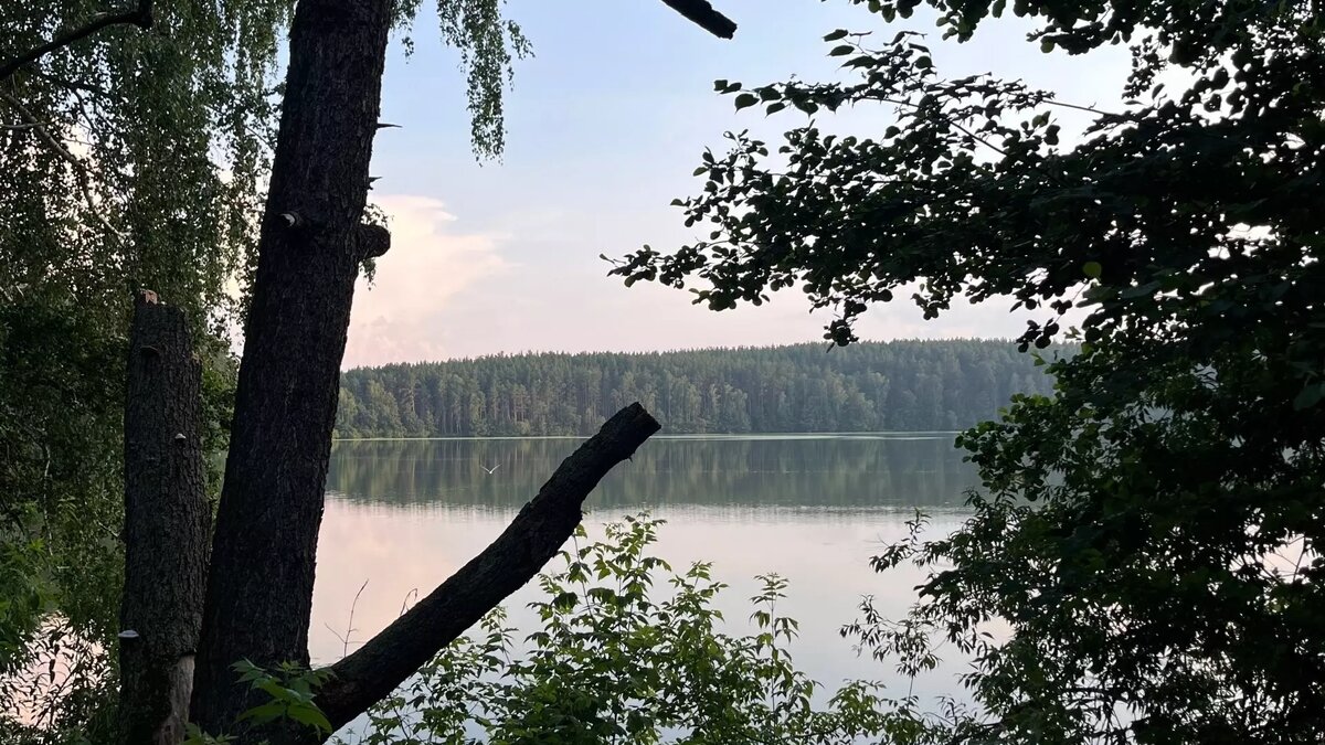     Источник: Анастасия Федякина/kursdela.biz