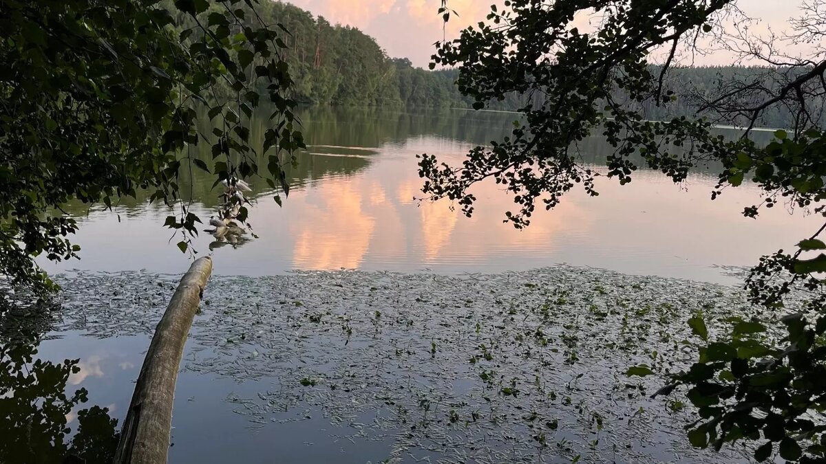     Источник: Анастасия Федякина/kursdela.biz