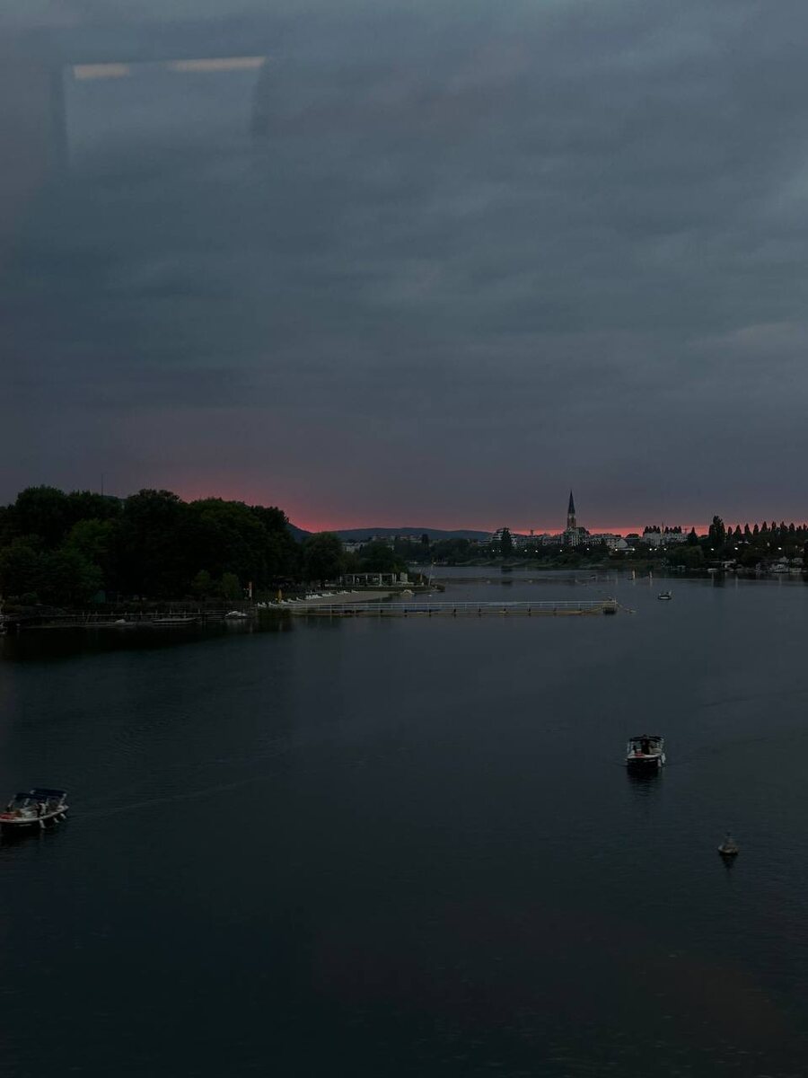 Путь на "Остров на Дунае". Вена, июль 2024 года.