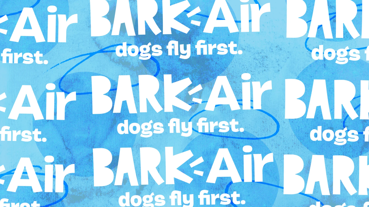 Компания Bark Air, созданная знаменитым производителем товаров для домашних животных Bark, стремительно завоевывает сердца владельцев собак по всему миру.-2