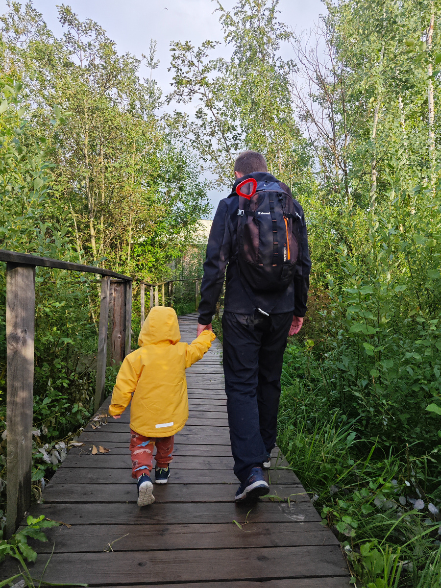 На "экотропе" возле дома