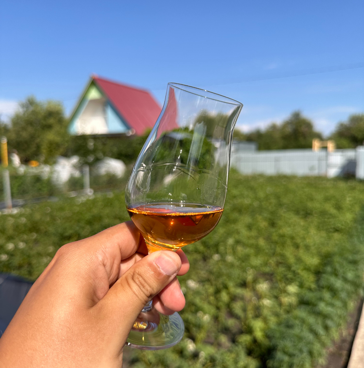 Цвет невероятно красивый и глубокий. Посмотрите какой отлив на солнце.