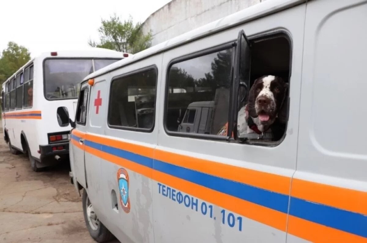    К поискам подростка с ДЦП на Урале подключили еще кинологов с собаками