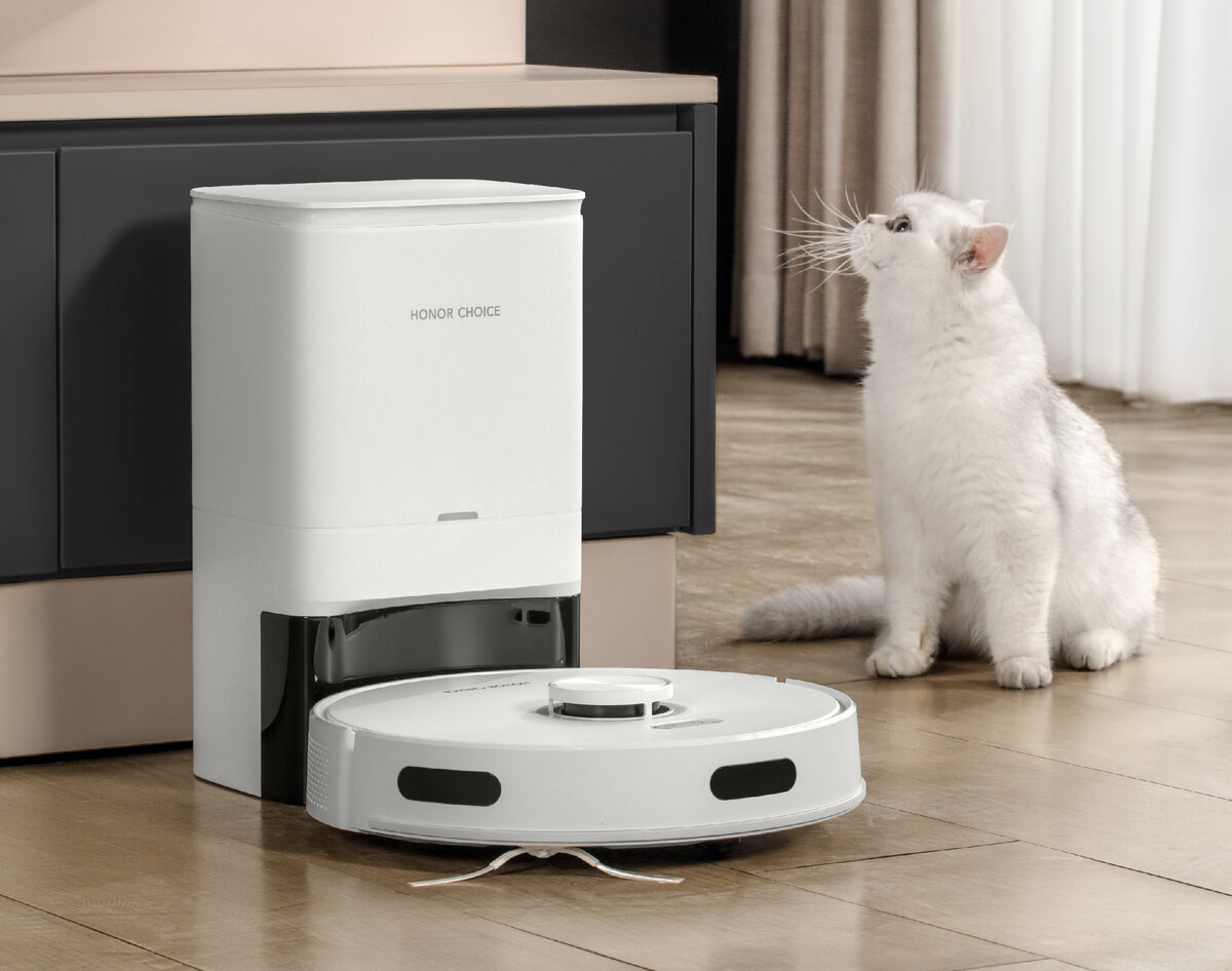 Источник фото: HONOR