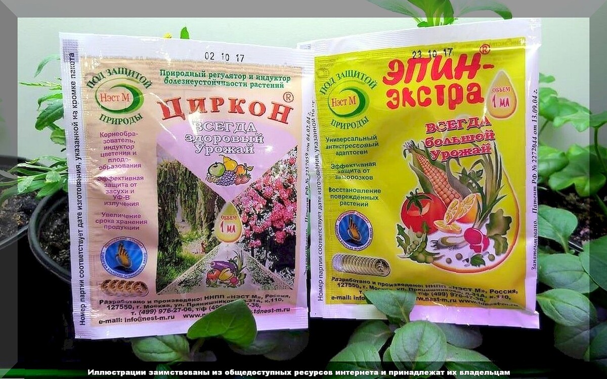 https://vk.com/photo-159774511_457266161