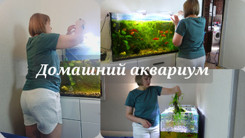 Домашний аквариум 🐠Чистка аквариума🐠 Аквариум на 200 литров