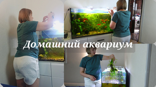 Домашний аквариум 🐠Чистка аквариума🐠 Аквариум на 200 литров