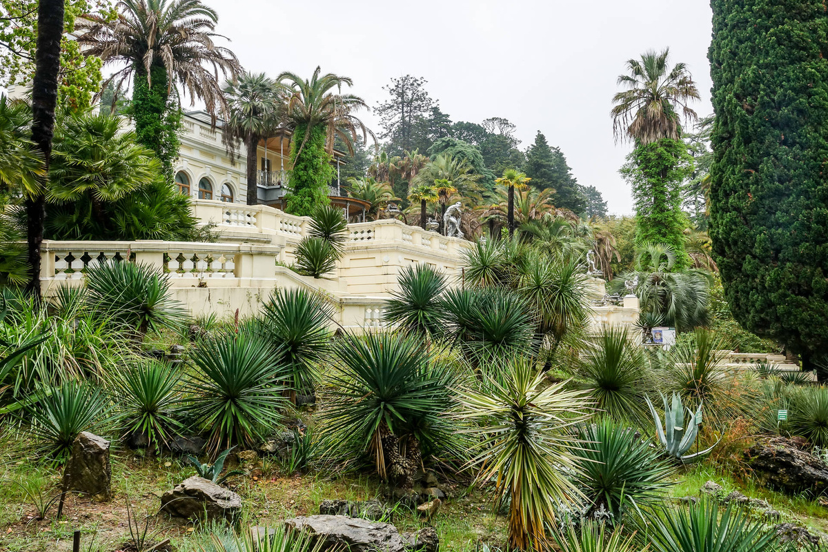 Парк "Дендрарий"