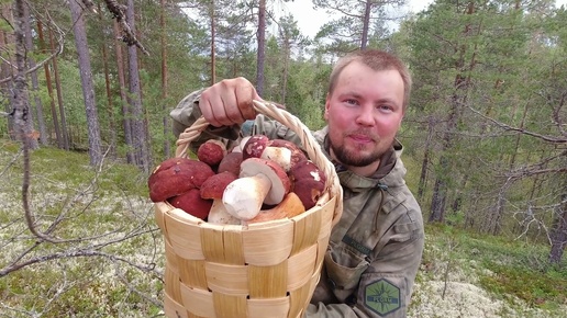Собирать грибы. Рыбалка под грибами. Гриб рыбак. Грибная рыбалка. Рыбалка и грибы.