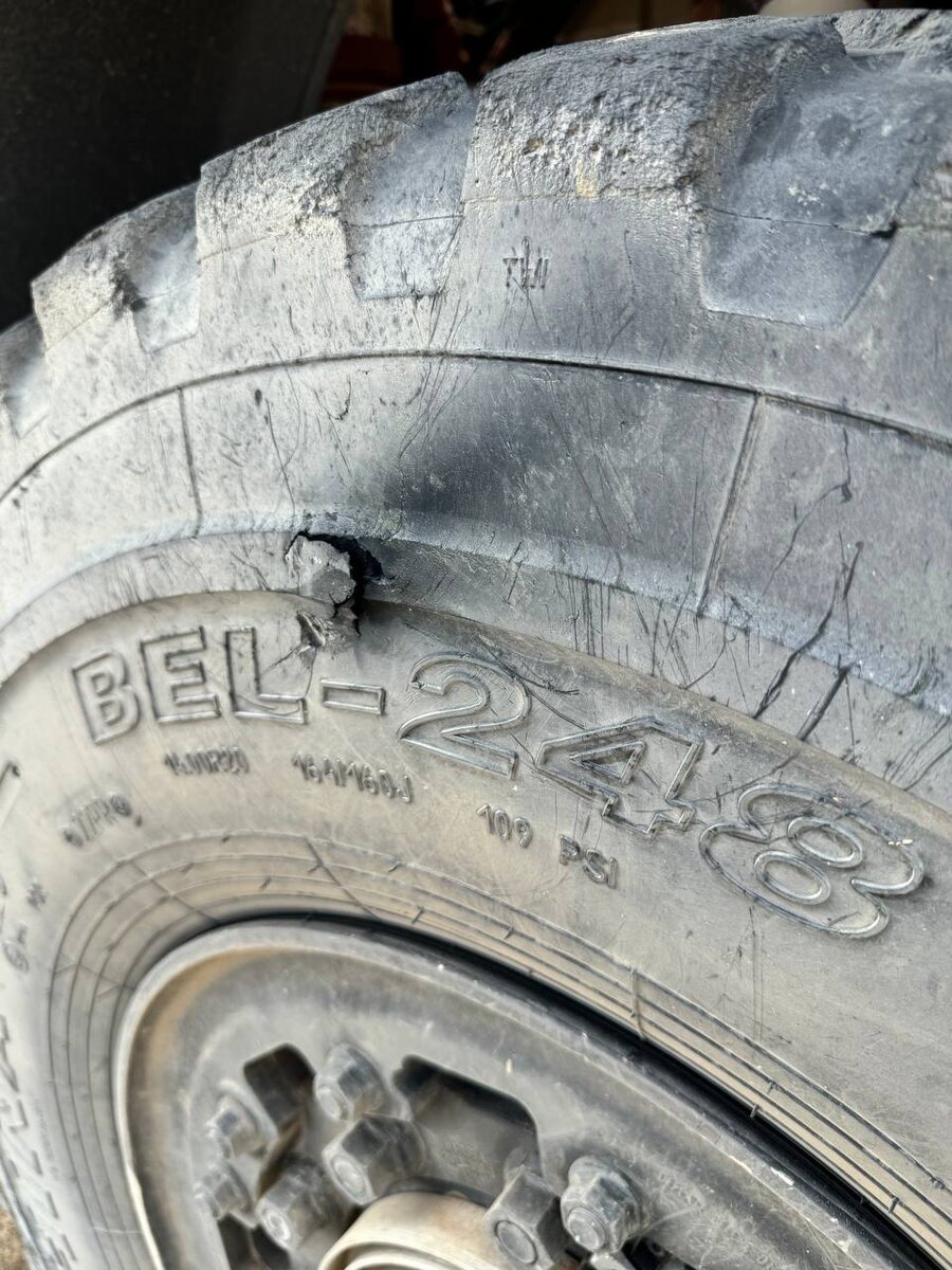 Фото: МАЗ-СПОРТавто  📷
