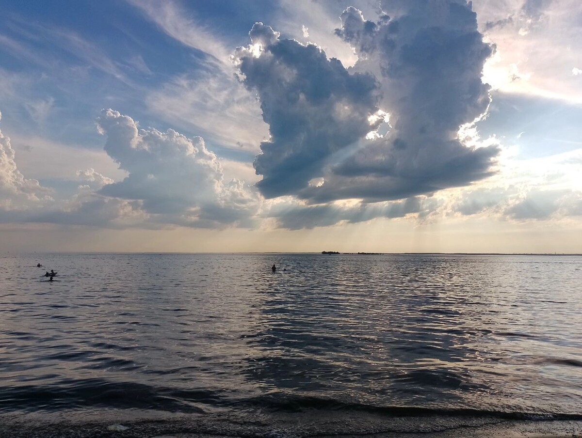 Астропрогноз, Венера переходит в знак Лев