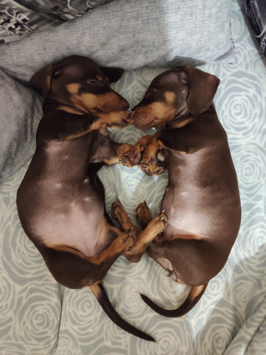 Мишель справа. 