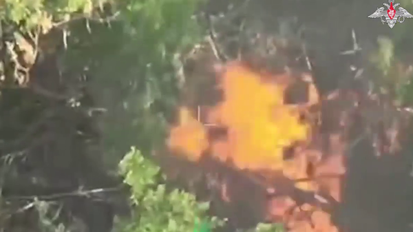    © Министерство обороны РФ