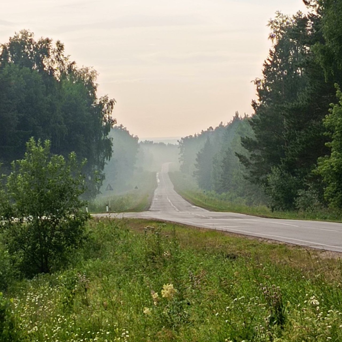 Дорога к счастью. 