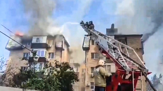    Из горящего жилого дома в Батайске спасли домашних животных Алина Городниченко