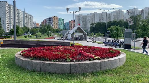 Когда хвалю Солнцево, говорю- «Красивые топиари». Многие спрашивают - 