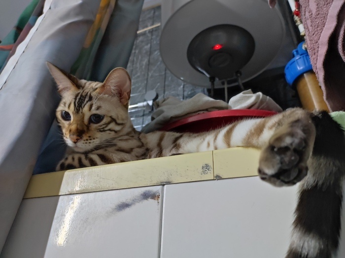 Листайте вправо, чтобы увидеть больше изображений