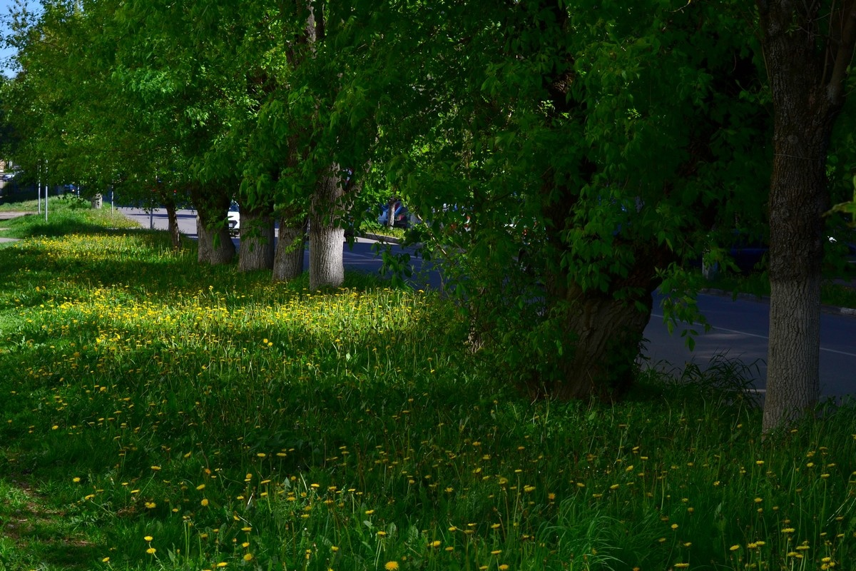 Улица Парковая.