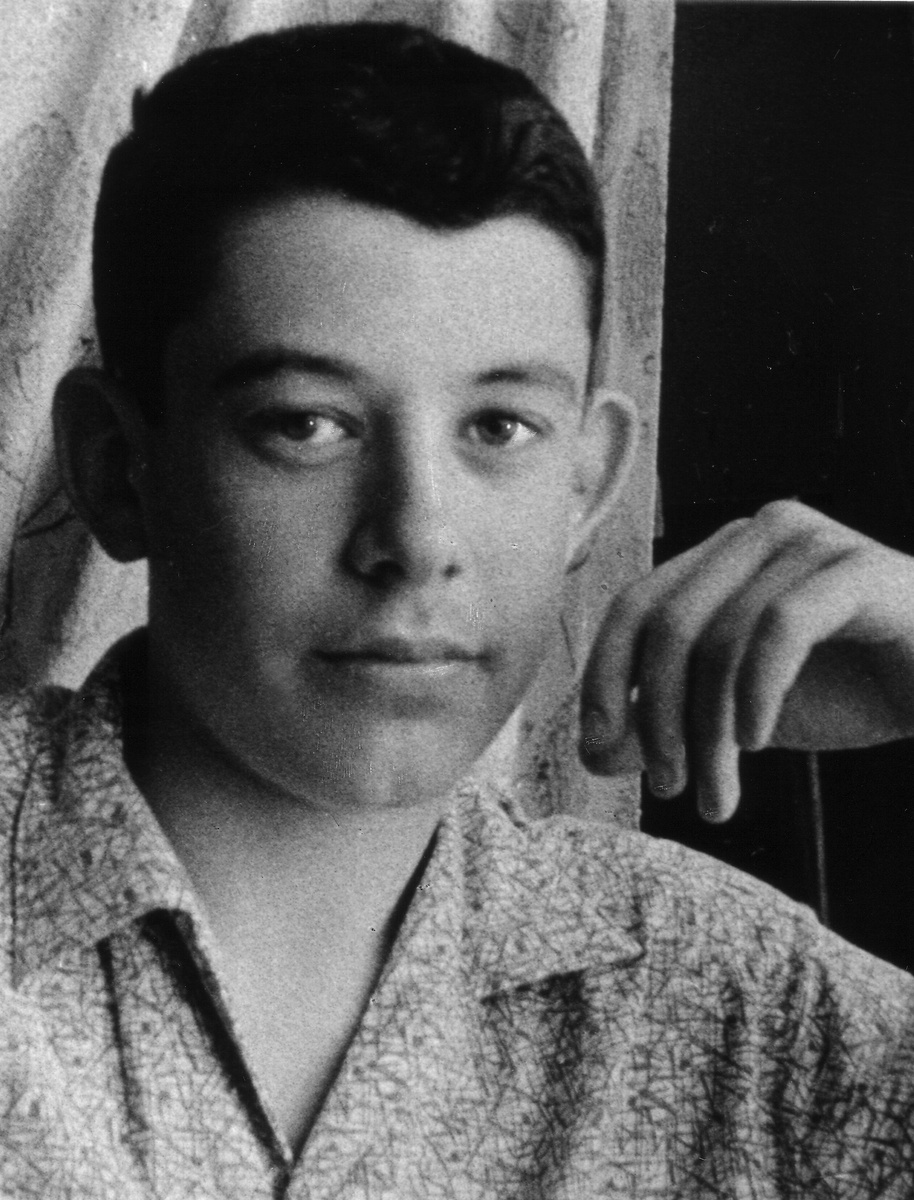 Вот этот застенчивый 16-летний подросток внезапно начинает рисовать, чтобы мир узнал, что творится в его проснувшейся душе.  